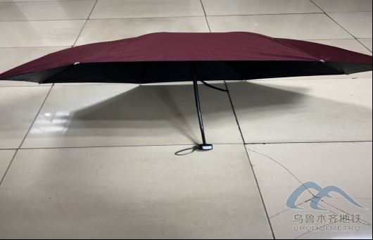 2025年10月14日地铁1号线站内遗失物品1037.png 2025年10月14日地铁1号线站内遗失物品1037.png