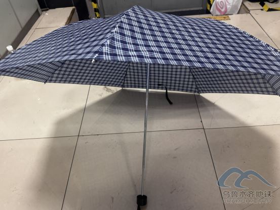 2025年10月15日地铁1号线站内遗失物品989.png 2025年10月15日地铁1号线站内遗失物品989.png