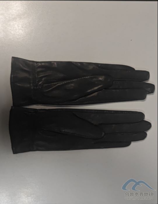 2025年10月16日地铁1号线站内遗失物品1223.png 2025年10月16日地铁1号线站内遗失物品1223.png