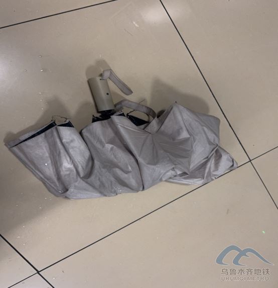 2025年11月5日地铁1号线站内遗失物品1131.png 2025年11月5日地铁1号线站内遗失物品1131.png