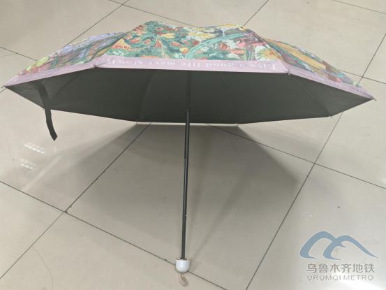 2025年11月5日地铁1号线站内遗失物品2631.png 2025年11月5日地铁1号线站内遗失物品2631.png