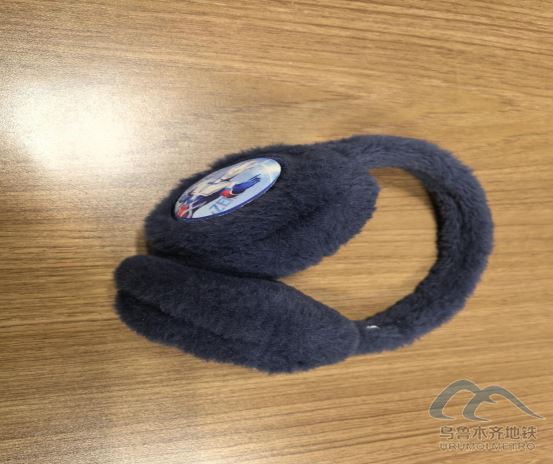 2025年11月23日地铁1号线站内遗失物品456.png 2025年11月23日地铁1号线站内遗失物品456.png